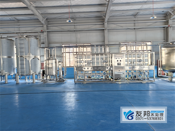 20T/H雙級純凈水設備